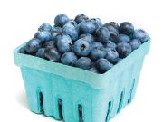 Berry sweet adventures: Pick your own blueberries this summer