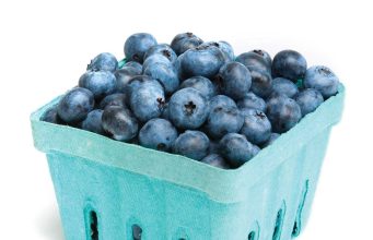 Berry sweet adventures: Pick your own blueberries this summer