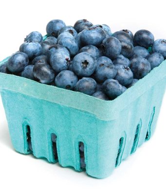 Berry sweet adventures: Pick your own blueberries this summer