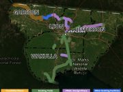 Regional trail plan could link into Leon County system A regional trail network map highlighting trail development phases across Gadsden, Leon, Wakulla, and Jefferson counties surrounding Tallahassee. A color-coded legend at the bottom categorizes the routes into Feasibility Phase shown in yellow, Existing Trails shown in green, PD&E / Design Phase shown in purple, and Other Existing Facilities shown in blue.