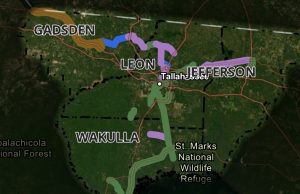 Regional trail plan could link into Leon County system A regional trail network map highlighting trail development phases across Gadsden, Leon, Wakulla, and Jefferson counties surrounding Tallahassee. A color-coded legend at the bottom categorizes the routes into Feasibility Phase shown in yellow, Existing Trails shown in green, PD&E / Design Phase shown in purple, and Other Existing Facilities shown in blue.