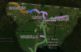 Regional trail plan could link into Leon County system A regional trail network map highlighting trail development phases across Gadsden, Leon, Wakulla, and Jefferson counties surrounding Tallahassee. A color-coded legend at the bottom categorizes the routes into Feasibility Phase shown in yellow, Existing Trails shown in green, PD&E / Design Phase shown in purple, and Other Existing Facilities shown in blue.