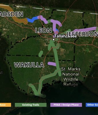 Regional trail plan could link into Leon County system A regional trail network map highlighting trail development phases across Gadsden, Leon, Wakulla, and Jefferson counties surrounding Tallahassee. A color-coded legend at the bottom categorizes the routes into Feasibility Phase shown in yellow, Existing Trails shown in green, PD&E / Design Phase shown in purple, and Other Existing Facilities shown in blue.