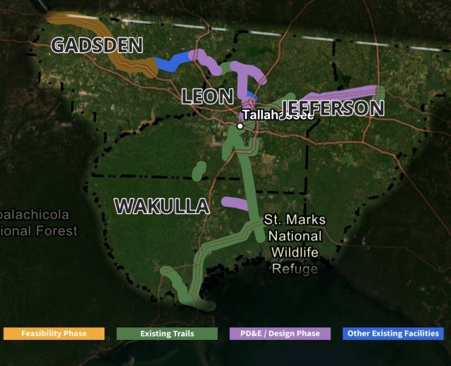 A regional trail network map highlighting trail development phases across Gadsden, Leon, Wakulla, and Jefferson counties surrounding Tallahassee. A color-coded legend at the bottom categorizes the routes into Feasibility Phase shown in yellow, Existing Trails shown in green, PD&E / Design Phase shown in purple, and Other Existing Facilities shown in blue.