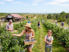 Blueberry season in full swing at area U-Pick farms People picking blueberries on a u-pick farm.